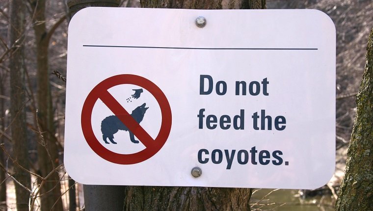 A Sign for coyote