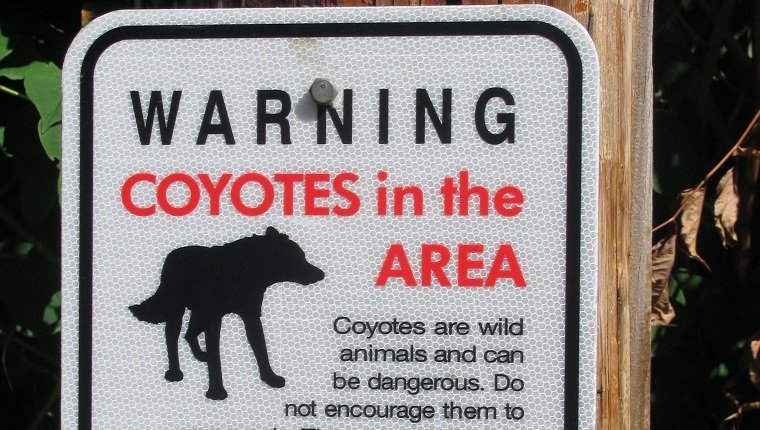 Coyotes in the area warning sign