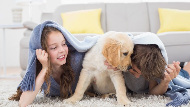 Brother and sister with puppy under blanket lying on rug at home