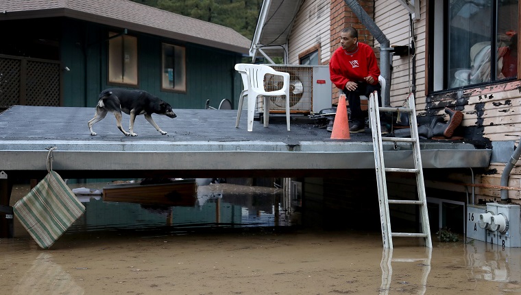 GUERNEVILLE, CALIFORNIA. - FEB. 27: A man and a dog wait on carport of a home in Guerneville, California, for a boat ride evacautation after the Russian River flooded the town, Tuesday, Feb. 26, 2019.