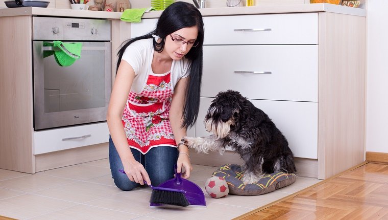 Young woman squatting on knees while cleaning after her dog in the kitchen