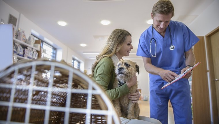 Vet talking to woman holding pet dog in veterinary waiting room