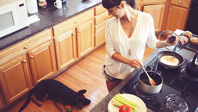 woman looking at german shepherd puppy