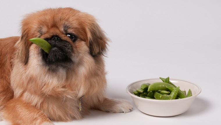 Dog Eating Vegetables