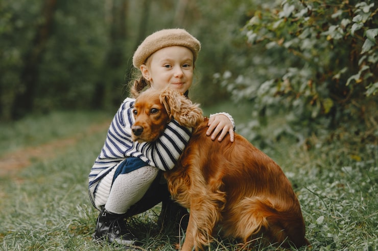 A dog sitting calmly behind a indoor baby gate while a child walks past at a safe distance during training.